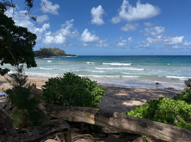 Send your best photos from Maui County to mauiphotos@mauinews.com for a chance to see them featured on our website and in our weekly print edition.   